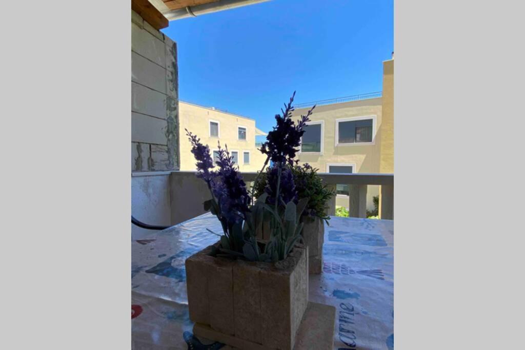 Apartman Toma Apartment Slatine Exterior foto